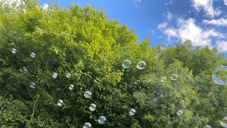 Lots of bubbles are floating up. The background is leafy green trees and the blue sky with a few wispy clouds