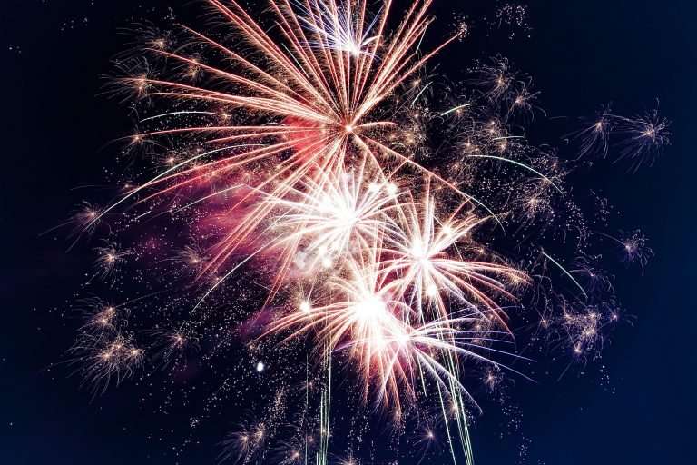 Fireworks exploding against the black/blue night sky