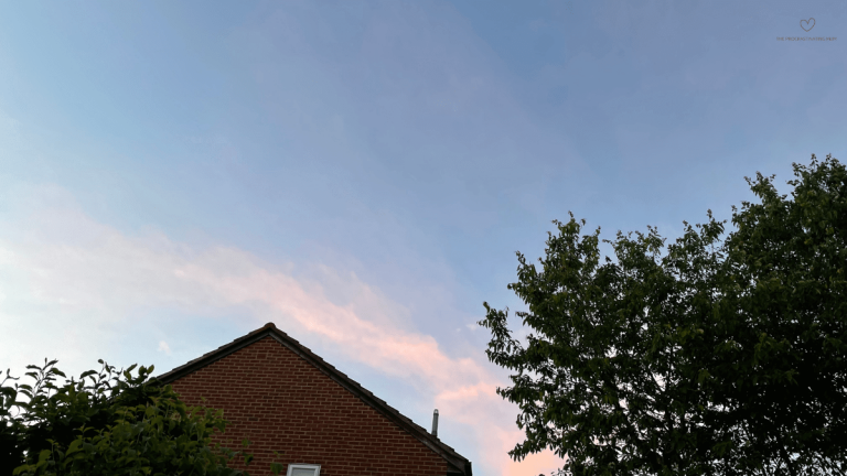The early morning sky with a wispy pinkish cloud. The top of a tree and the top of a house can also be seen