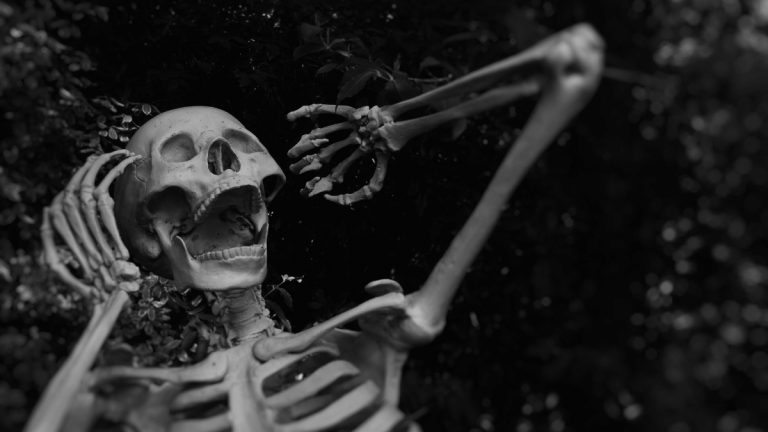 A fake skeleton has its mouth open as if screaming in fear. The hands are up by it's head