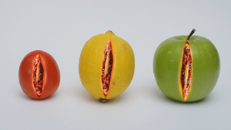 An apple, a lemon and a tomato are all resting on a table. All three of them are split open slightly and red inside to represent a woman's anatomy